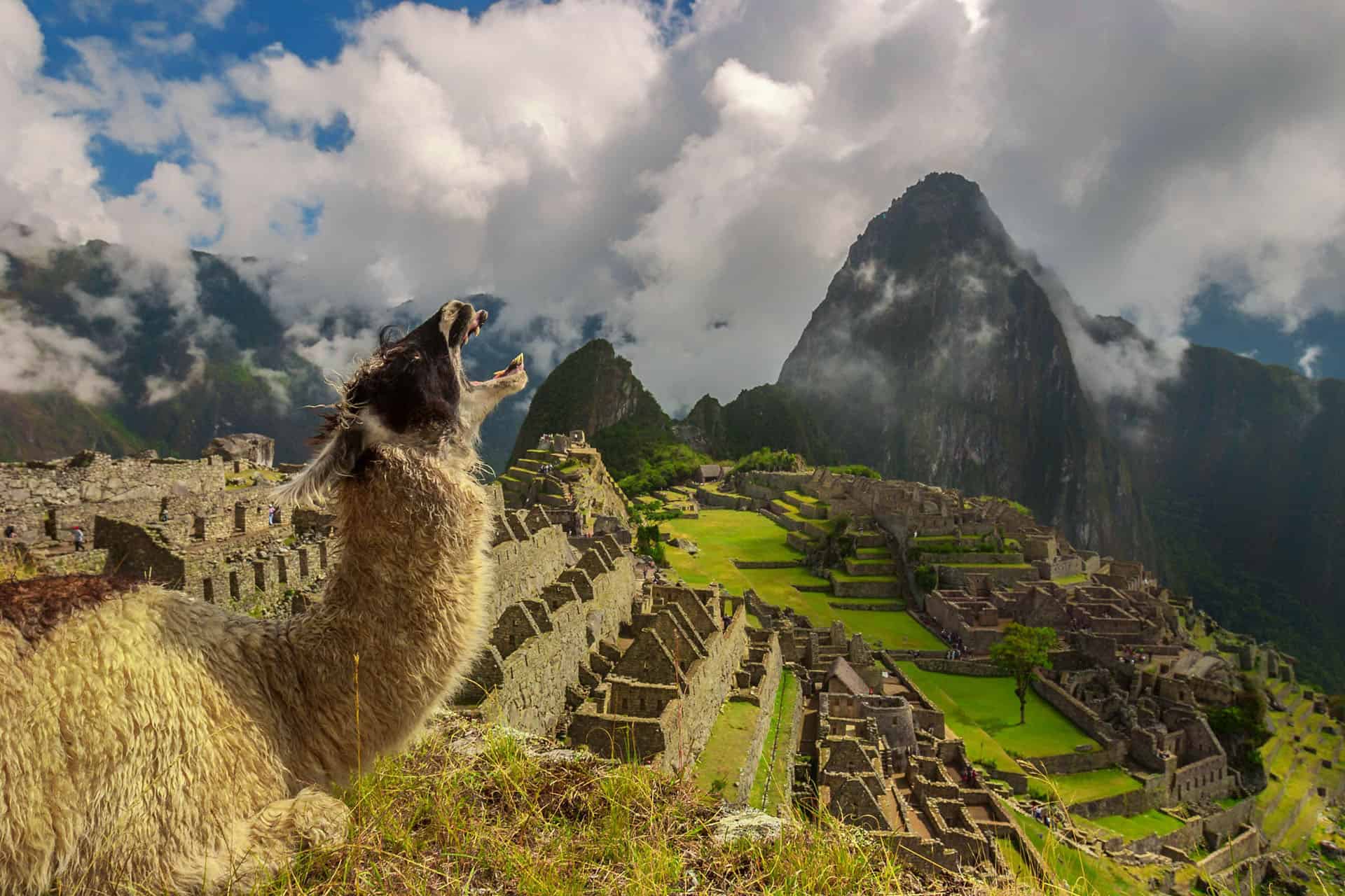 Ultimate Guide to the Wonders of the World: Ancient, Natural, and New